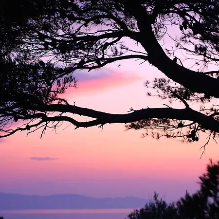 ホテル Gorgona パティティリ