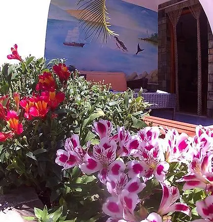 فندق Gorgona باتيتيري